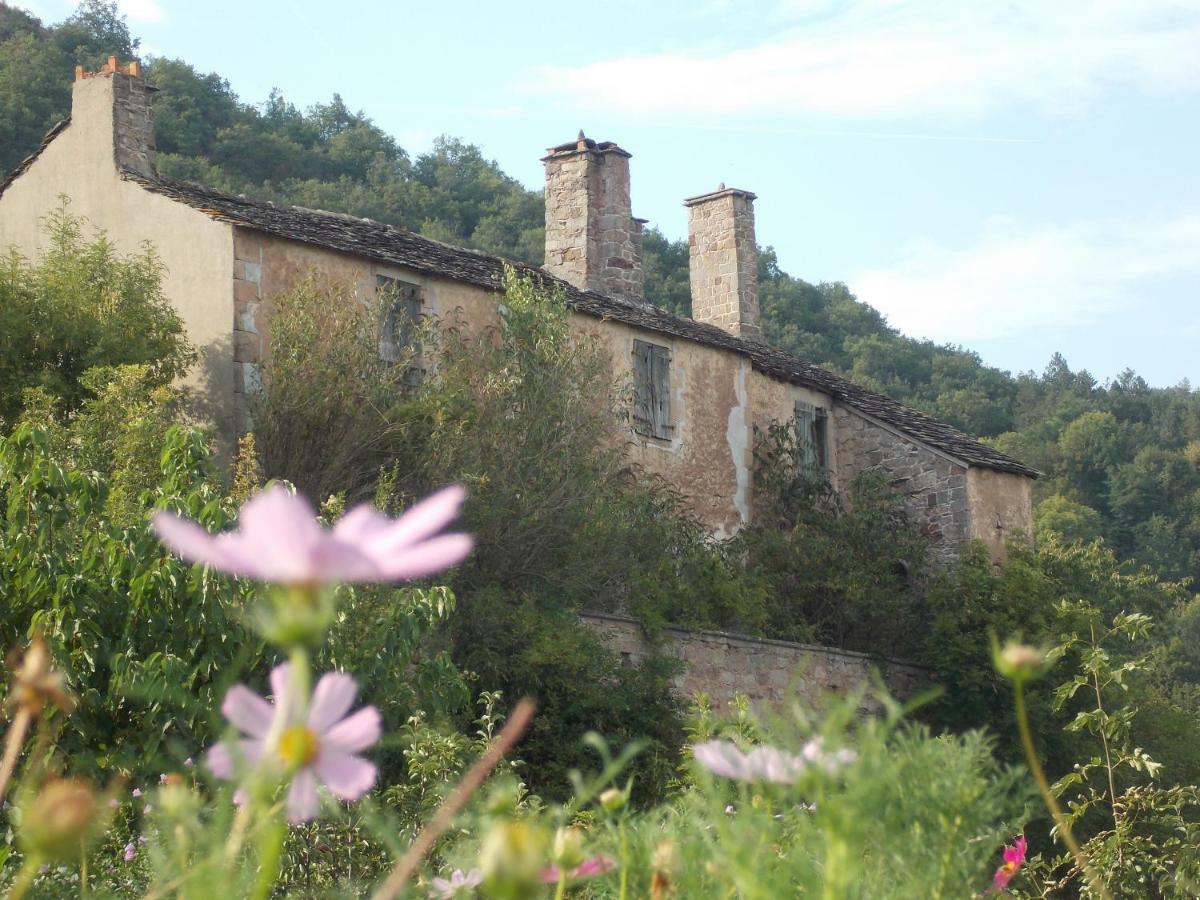 Bed and Breakfast Le Cintrium Viala-du-Tarn Esterno foto